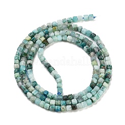 Natur Chrysokoll Perlen Stränge&nbsp;G-H042-B29-01