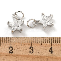 Rack-Beschichtung Messing Micro Pave klar Kubisch Zirkonia Charms&nbsp;KK-U030-02P