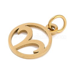 Ionenplattierung (IP) 304 Edelstahl-Anhänger&nbsp;STAS-R135-05G-06