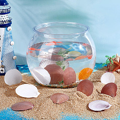 40 coquillage naturel pour décoration d'aquarium&nbsp;SHEL-PH0001-68