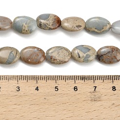 Natürliche Aqua Terra Jaspis Perlen Stränge&nbsp;G-Z110-G01-10x14mm