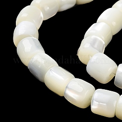 Fili di perline di conchiglia trochus naturale&nbsp;BSHE-E030-05B
