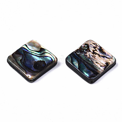 Natürliche Abalone-Muschel / Paua-Muschelperlen&nbsp;SSHEL-T014-13B