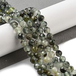 Perline Prehnite naturale fili&nbsp;G-G140-A19-08