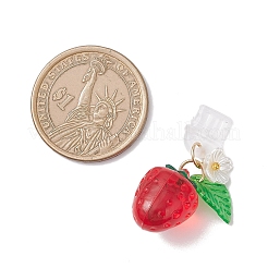 Erdbeer-transparente Acryl-Staubschutzstecker für Handys&nbsp;HJEW-JM04314-01
