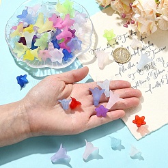400pcs 2 Arten transparente Acrylperlen&nbsp;FACR-YW0001-11