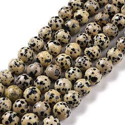 Dalmata naturale perline di diaspro fili&nbsp;G-Q462-10mm-30