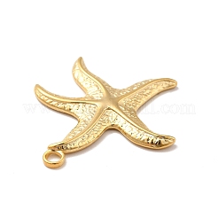 Pendentifs en acier inoxydable 304 avec placage ionique (IP)&nbsp;STAS-I197-019G
