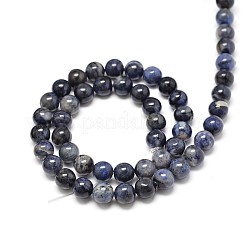 Sodalite naturale perle tonde fili&nbsp;G-P075-07-6mm