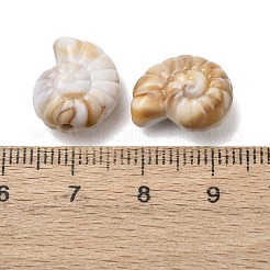Cuentas de imitación de piedras preciosas acrílicas opacas&nbsp;SACR-K005-08C