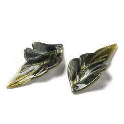Colgantes de acrílico&nbsp;SACR-C002-07