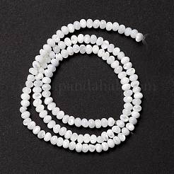 Fili di perle di conchiglia trochid naturale / trochus&nbsp;X-SSHEL-O001-24B-02