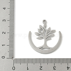 Anhänger aus Edelstahl 304&nbsp;LS-STAS-V016-21P
