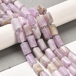 Naturperlen Stränge kunzite&nbsp;G-N327-06-36
