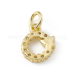 Breloques en laiton zircon cubique transparent&nbsp;ZIRC-F132-55G