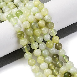 Natürlich neu Jade runde Perlen Stränge&nbsp;G-O039-16-6mm-02