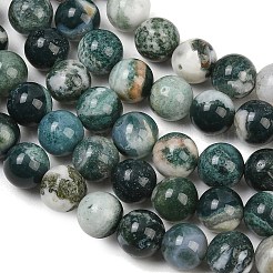 Chapelets de perles en agate d'arbre naturelle&nbsp;G-I199-03-10mm