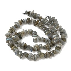 Natur Labradorit Perlen Stränge&nbsp;G-I225-15A