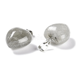 Natur Labradorit Anhänger&nbsp;G-I311-A03