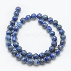 Filo di Perle lapis lazuli naturali &nbsp;G-E489-01-10mm