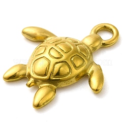 Pendentifs en acier inoxydable 304 avec placage ionique (IP)&nbsp;STAS-M070-31G