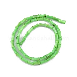 Naturali di acqua dolce perline shell fili&nbsp;SHEL-G013-01E