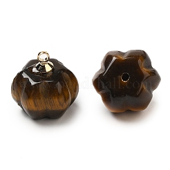 Breloques citrouille en œil de tigre naturel avec bélières en laiton doré&nbsp;G-C158-06G-01