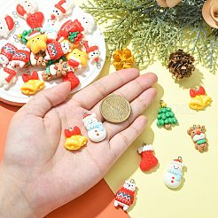 40pcs 10 styles de pendentifs en résine opaque&nbsp;RESI-CJ0003-53