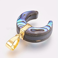 Paua-Muschel Anhänger&nbsp;KK-G346-01B