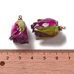 Rosone stabilizzato con pendenti in lega dorata&nbsp;FIND-M010-01F