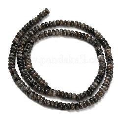 Natürliche Larvikit-Perlenstränge&nbsp;G-Z110-B19-2x4mm