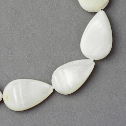 Cuentas de concha de mar natural hebras&nbsp;X-SSHEL-Q296-43