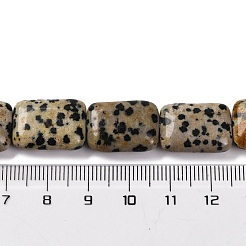 Natur Dalmatiner Jaspis Perlen Stränge&nbsp;G-T047-B16-01