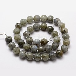 Chapelets de perles en labradorite naturelle&nbsp;G-O155-05B-4mm