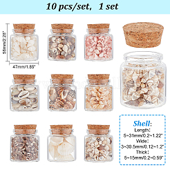 10pcs perle de conque de coquille de mer naturelle et décorations d'affichage de bouteille en verre transparent&nbsp;AJEW-AB00075