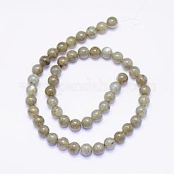 Perline labradorite naturale fili&nbsp;G-F425-30