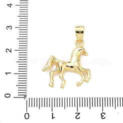 Messing Anhänger & Charms&nbsp;KK-H539-19C-G