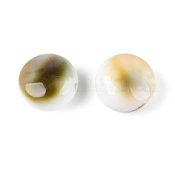 Natürliche Shiva Eye Shell Perlen&nbsp;BSHE-T014-33A