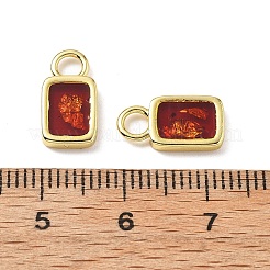 Epoxidharz Charms&nbsp;KK-Z114-21G-03