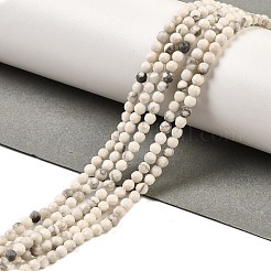 Natürliche Howlith Perlen Stränge&nbsp;G-Z068-B05-01