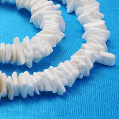 Fili di perle di conchiglie di mare naturali&nbsp;X-BSHE-Q024-02