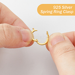 2 Stück 2 Farben 925 Sterling Silber Twister Verschluss&nbsp;STER-FH0001-09
