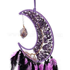 Natürliche Amethyst-Chips&nbsp;HJEW-M004-05
