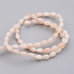 Conchiglia naturale fili di perle&nbsp;X-BSHE-P013-06