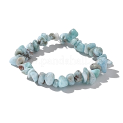 Natürliche Larimar Perlen Stretch Armbänder&nbsp;X-BJEW-JB02680-01