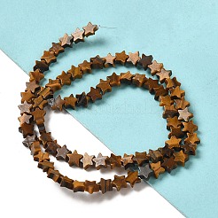 Natürlichen Tigerauge Perlen Stränge&nbsp;G-G085-B03-02