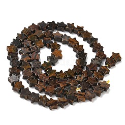 Natur Bronzit Perlen Stränge&nbsp;G-G085-B60-02