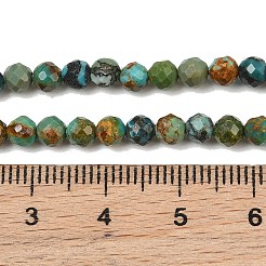 Natur hubei türkisfarbenen Perlen Stränge&nbsp;G-P629-A04-03