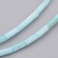 Conchiglia naturale fili di perle&nbsp;BSHE-P017-01