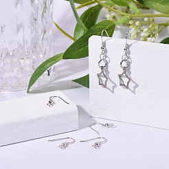 Crochets de boucles d'oreilles en fer&nbsp;E135-NF